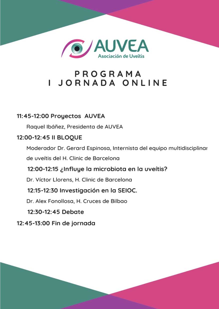 programa I Jornada Auvea